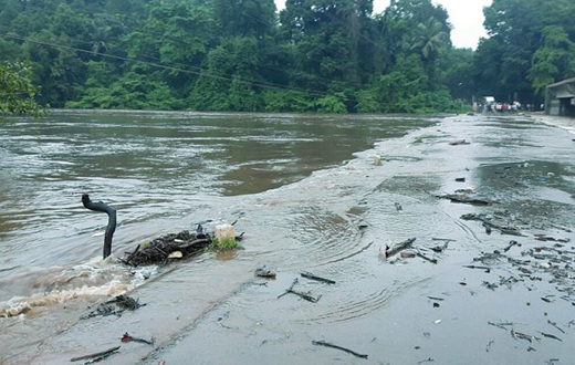 hosamut 